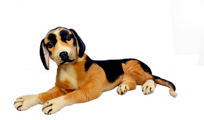 

Shape n Style Attractive Dog - 60 cm(Multicolor)