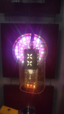 

LED Pendant Wall Lamp