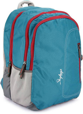 

Skybags Neon 02 29 L Medium Backpack(Blue)