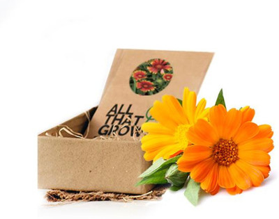 

AllThatGrows Assorted Flower Seed Kit, 8 Types of Flower Gardening Seeds Gift Pack Set Seed(8 per packet)