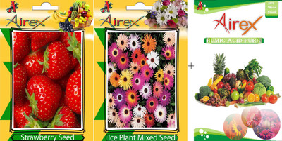 

Airex Strawberry, Ice Plant Mixed Seed(20 per packet)