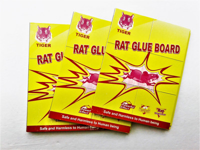 

Milestouch Exim RAT TRAP 03 Live Trap