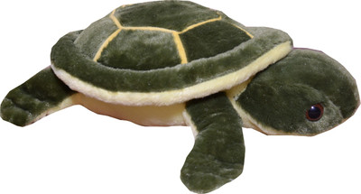 

SBBN Green TURTLE Soft Toy 40cm 16 inch - 40 cm(Green)