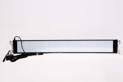 

Blessing Aquarium White LED Aquarium Light(Freshwater Fish Tank)