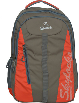 

Skylocks Trendy Backpack 25 L Laptop Backpack(Multicolor), Brown