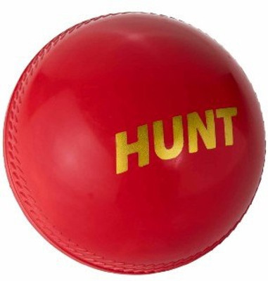 

DSC DSC Synthetic Ball Hunt Cricket Leather Ball(Pack of 1, Red)