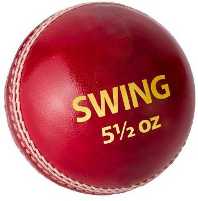 

DSC DSC C/Leather Ball Swing Cricket Leather Ball(Pack of 1, Red), Pnk