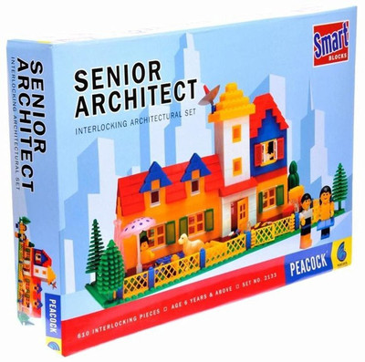 

Tingoking Senior Architect Block Construction(Multicolor)