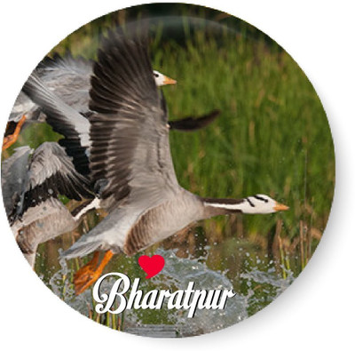 

Peacockride Love Bharatpur Fridge Magnet Pack of 1(Multicolor)