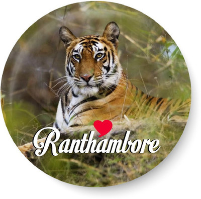 

Peacockride Love Ranthambore Fridge Magnet Pack of 1(Multicolor)