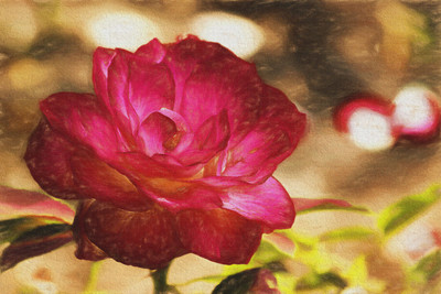 

beautyful painting of flower canvas art Canvas Art(18 inch X 27 inch, Rolled)
