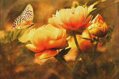 

beautyful butterfly on flowers canvas art Canvas Art(18 inch X 27 inch, Rolled)