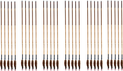 

Armor Armor Traditional Short Feather Arrow set of 30 Arrow(29)