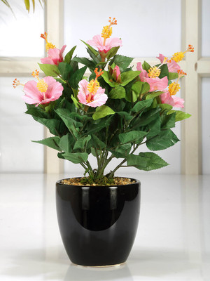 59% OFF on Fourwalls Bonsai Artificial Plant with Pot(Pink) 59% OFF on Fourwalls Bonsai Artificial Plant with Pot(Pink)