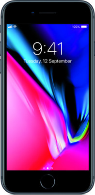 Apple iPhone 8 (Space Grey, 256 GB)