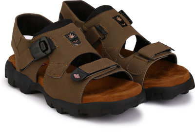 

Shoe Day Men Brown Casual