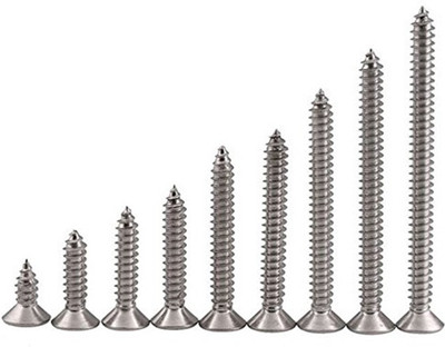 

Shaks Traders Stainless Steel Pan Head Drywall Screw(38 mm Pack of 50)