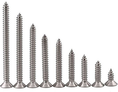 

Shaks Traders Stainless Steel Pan Head Drywall Screw(38 mm Pack of 200)