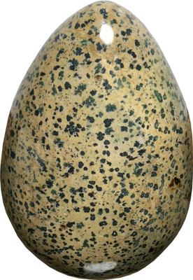

Aldomin Natural Dalmetian Jasper Healing Crystal Egg (142.85 Gram) Decorative Showpiece - 6.3 cm(Crystal, Multicolor)