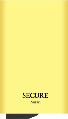 

Skywater Credit Card Protector 4 Card Holder(Set of 1, Gold)