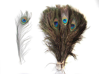 INTUF Pack of 75 Decorative Feathers(STENDERD Peacock Feather)