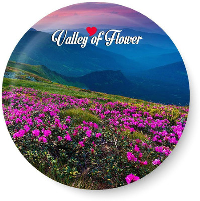 

Peacockride Love Valley of Flower Fridge Magnet Pack of 1(Multicolor)