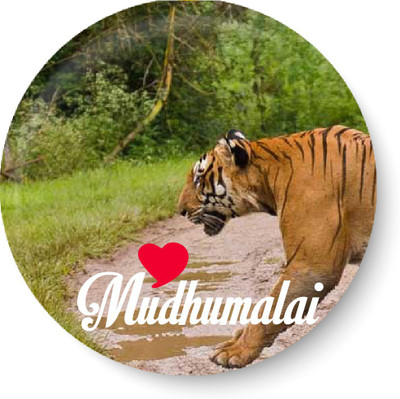 

Peacockride Love Mudhumalai Fridge Magnet Pack of 1(Multicolor)