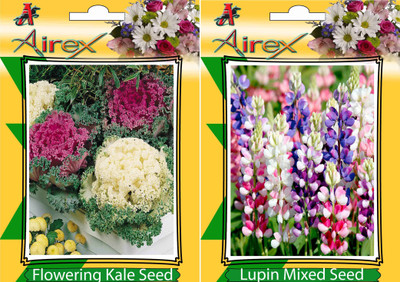 

Airex Flowering Kale, Lupin Mixed Seed(20 per packet)