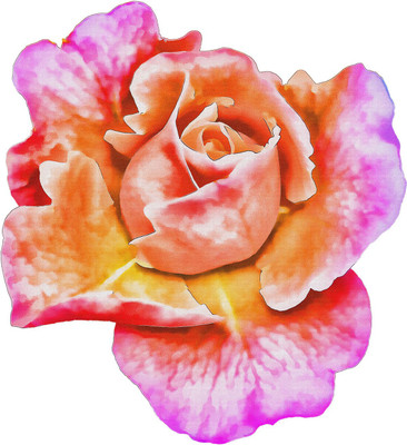 

flower blooming canvas art Canvas Art(14 inch X 22 inch, Rolled)