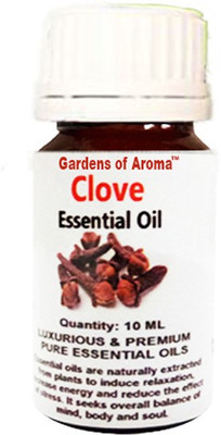 

Gardens of Aroma Clove(10 ml)