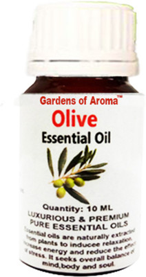 

Gardens of Aroma Olive(10 ml)