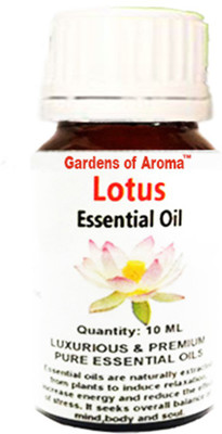 

Gardens of Aroma Lotus(10 ml)