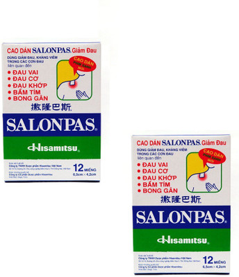

Saloanpas Plaster Pain Relief Patch (12 Patches) Plaster & Patch (20 g) Plaster & Patch(40 g)