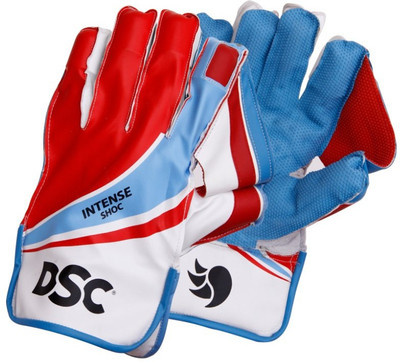 

DSC WK Gloves Intense Shoc Youth Wicket Keeping Gloves (Youth, Multicolor)