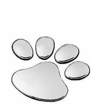 

Capeshoppers 3D Sticker for Windows, Sides, Bumper, Hood(Silver)