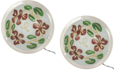 

Arus Decorative Ceiling Lamp Flush Mount Ceiling Lamp