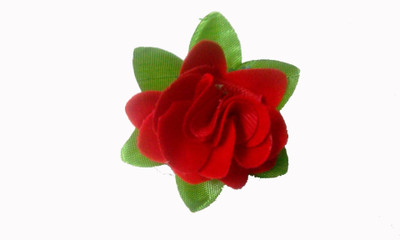 

Shop & Shoppee Pretty Rose Flower Shape quality Hair clip Hair Pin(Red, Green)