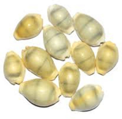 

SHIVOHAM Decorative Showpiece - 3 cm(Stoneware, Yellow)