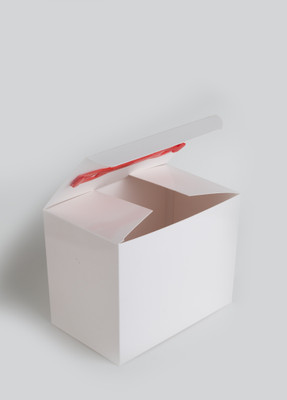 

packmate RT Paper Gift Box(White)