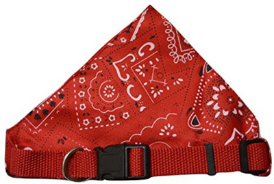 

Foodie Puppies Bandana for Dog, Cat(Multicolor