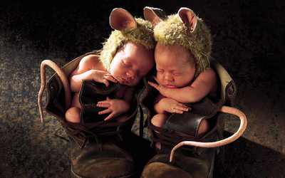 

Akhuratha Cute Baby Wall Poster 187 Paper Print(12 inch X 18 inch, Rolled)