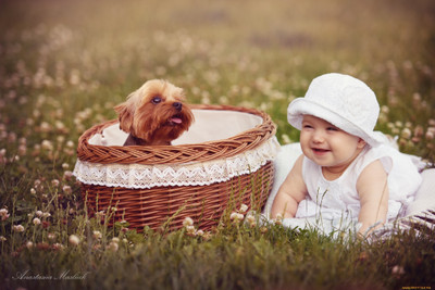 

Akhuratha Cute Baby Wall Poster 48 Paper Print(12 inch X 18 inch, Rolled)