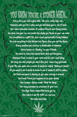 Akhuratha Wall Poster -you-are-a-stoner-when-sv- Paper Print(18 inch X 12 inch, Rolled)