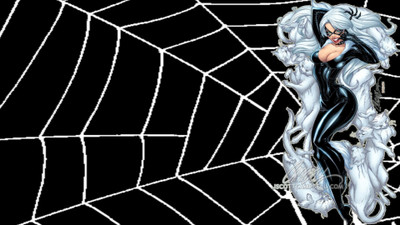 

Akhuratha comics-black-catpider-man Wall Poster Paper Print(12 inch X 18 inch, Rolled)