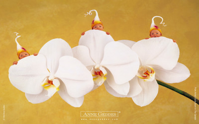 

Akhuratha Cute Baby Wall Poster 200 Paper Print(12 inch X 18 inch, Rolled)