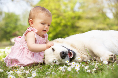 

Akhuratha Cute Baby Wall Poster 101 Paper Print(12 inch X 18 inch, Rolled)