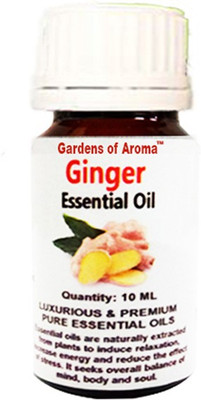 

Gardens of Aroma Ginger(10 ml)