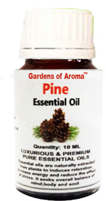 

Gardens of Aroma Pine(10 ml)