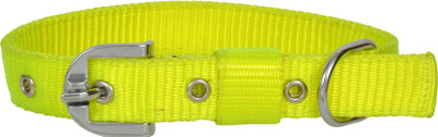 

Leather Craft Dog Everyday Collar(, Neon