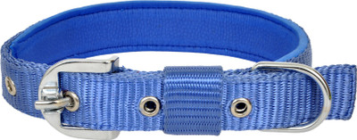 

Leather Craft Dog Everyday Collar(, Blue